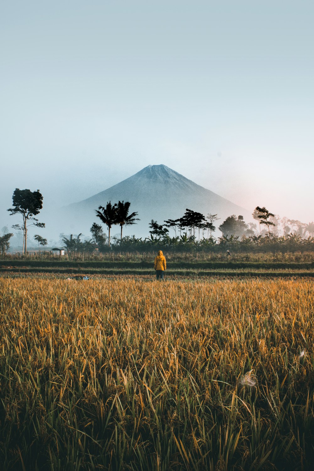 person standing on green grass field