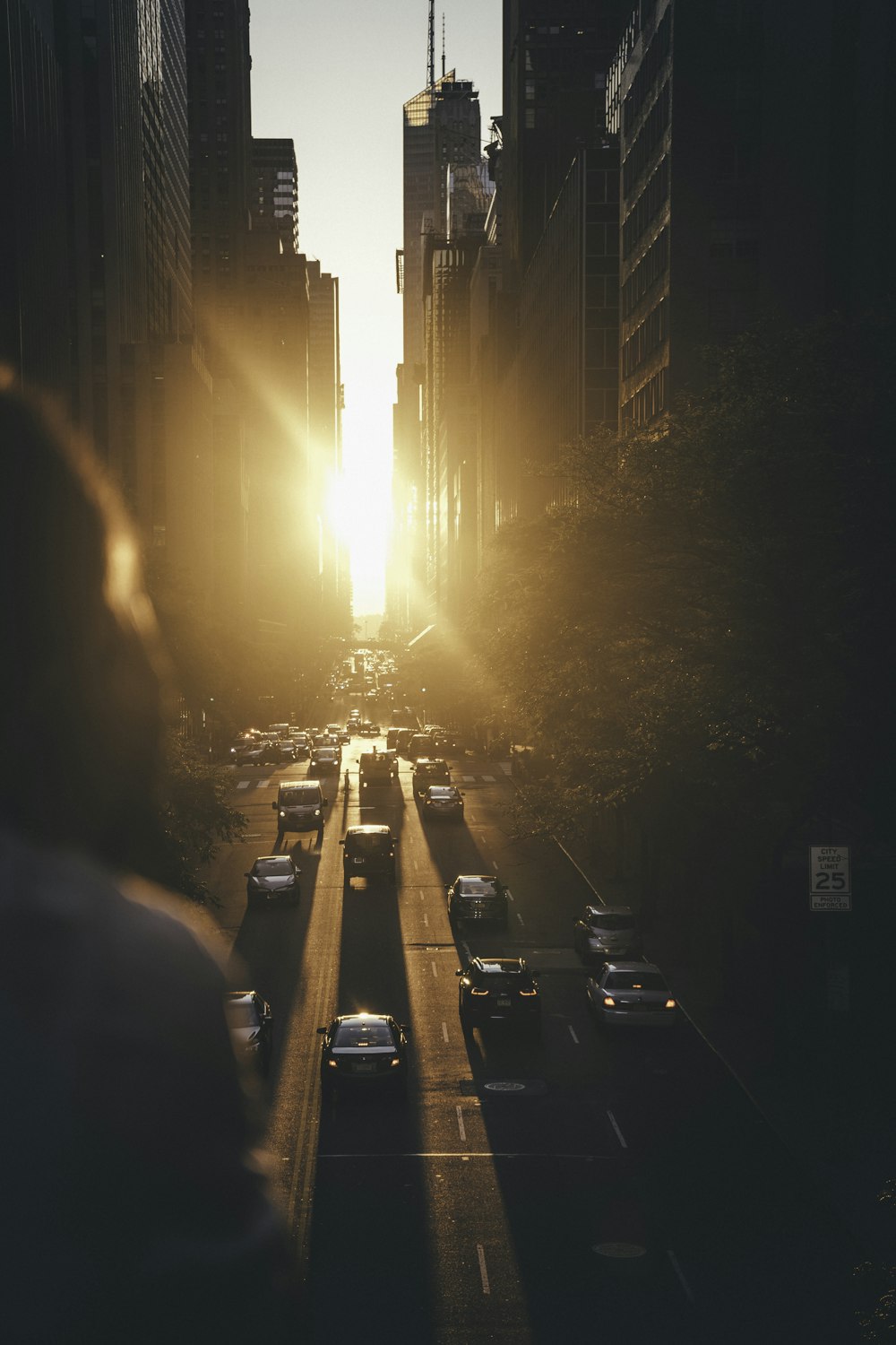 Vehículos que pasan entre edificios durante la puesta de sol