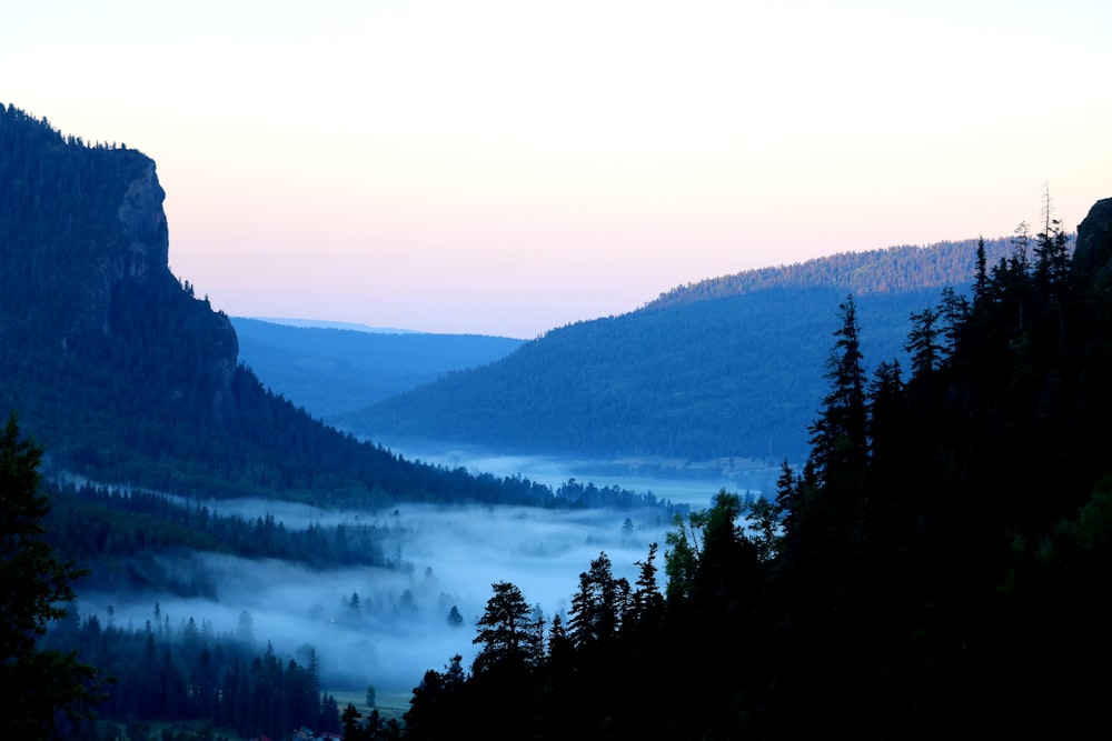 mountains and trees during sunset