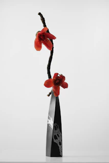 A sleek black vase holding golden flowers against a dark background with warm highlights.