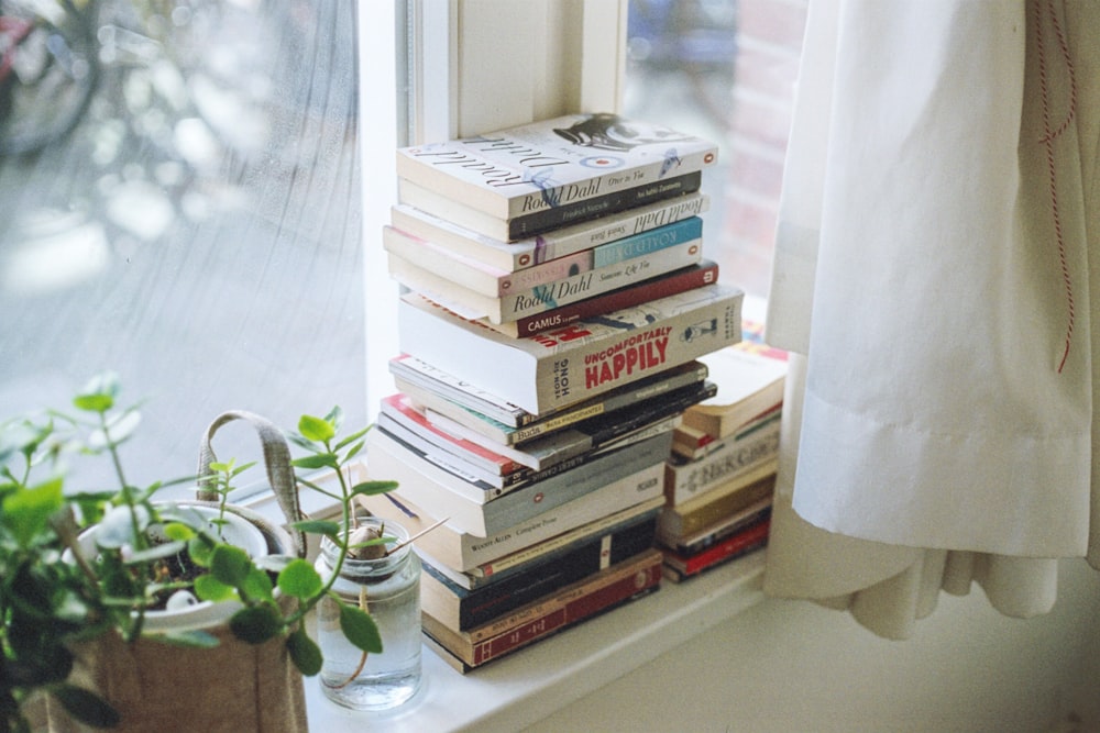 lote de livros de títulos variados ao lado da janela