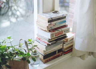 assorted-title book lot beside window