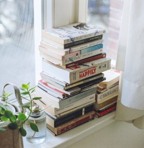 assorted-title book lot beside window