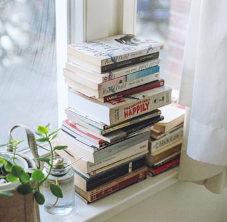 assorted-title book lot beside window