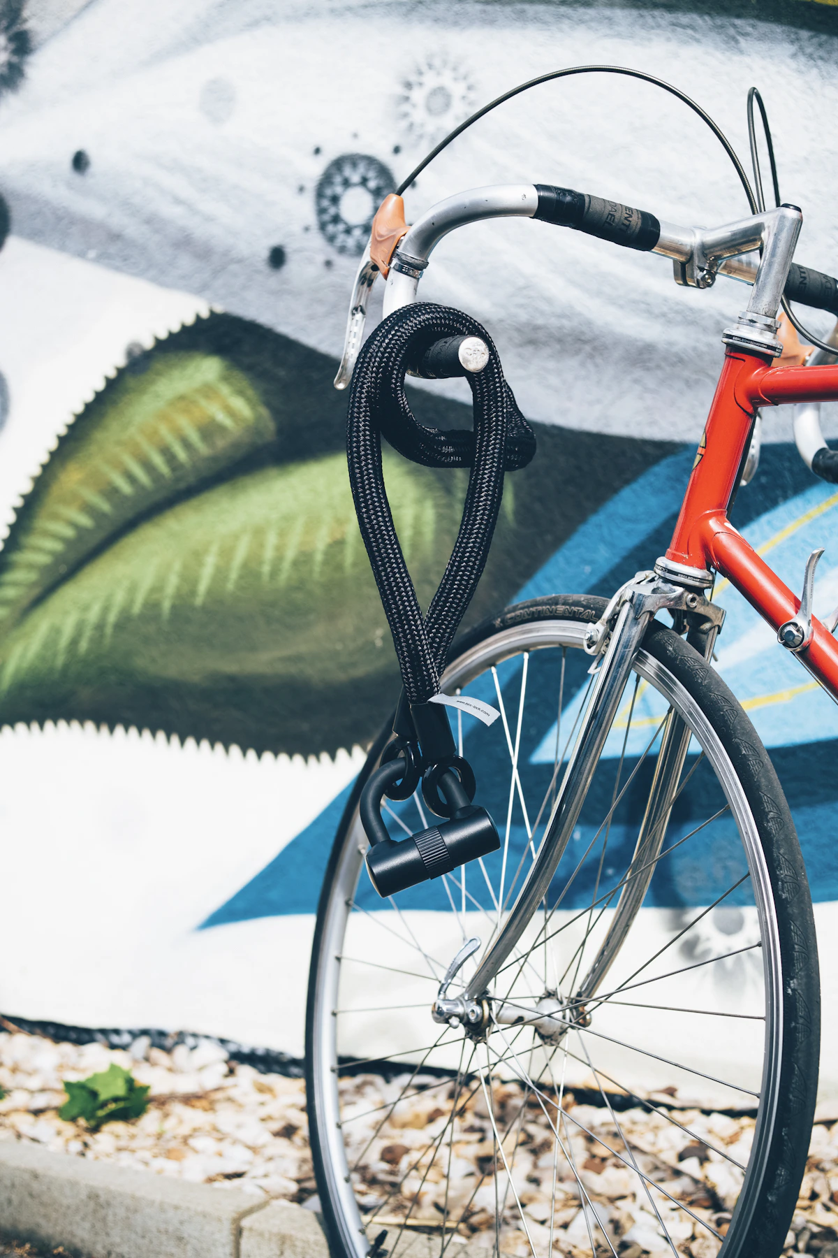 Bicycle secured with a heavy cable lock