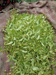 A vibrant green field with textile materials scattered around.