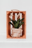 green plant in brown wooden crate