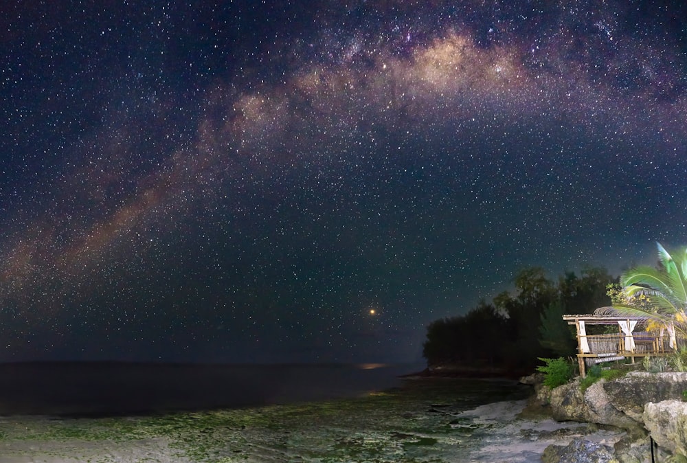 sea under starry sky