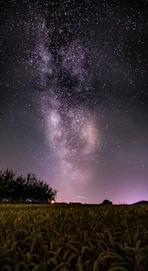 milky way over fields