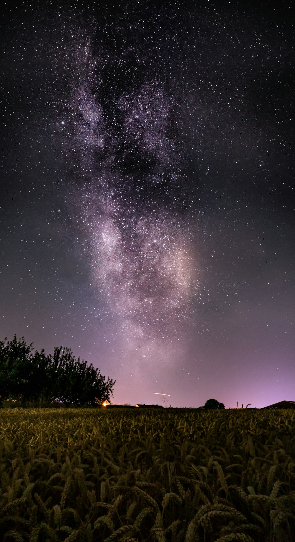 milky way over fields