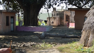 A rural setting with several small, old buildings and a large tree in the center. Clothes are hanging to dry on a line between the tree and a building. There is a fallen log on the ground, and the scene includes some thatched roofing.