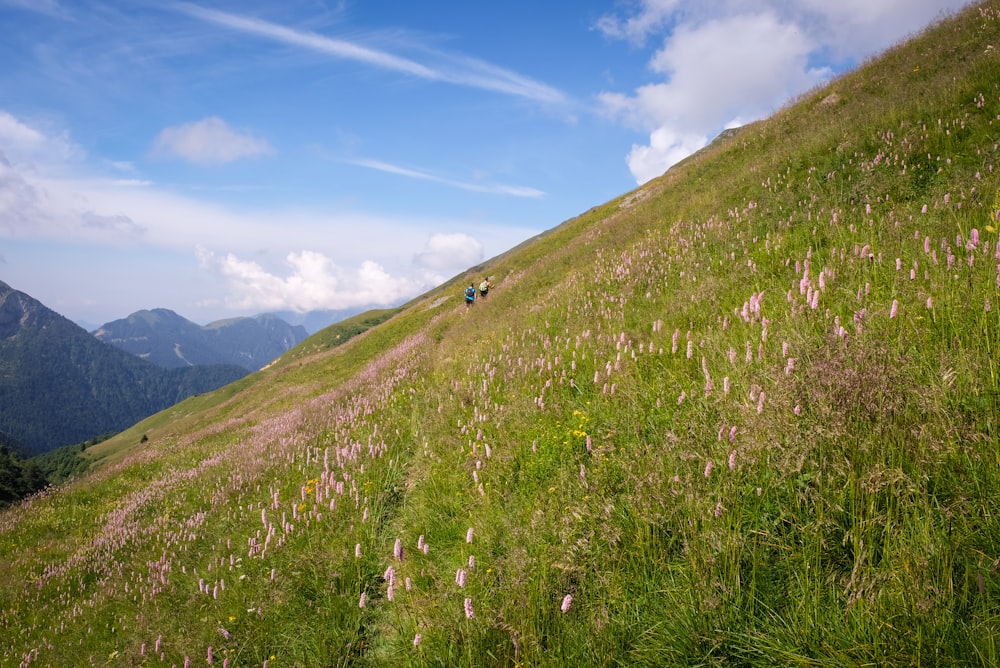 people walking on green hill under blue sky