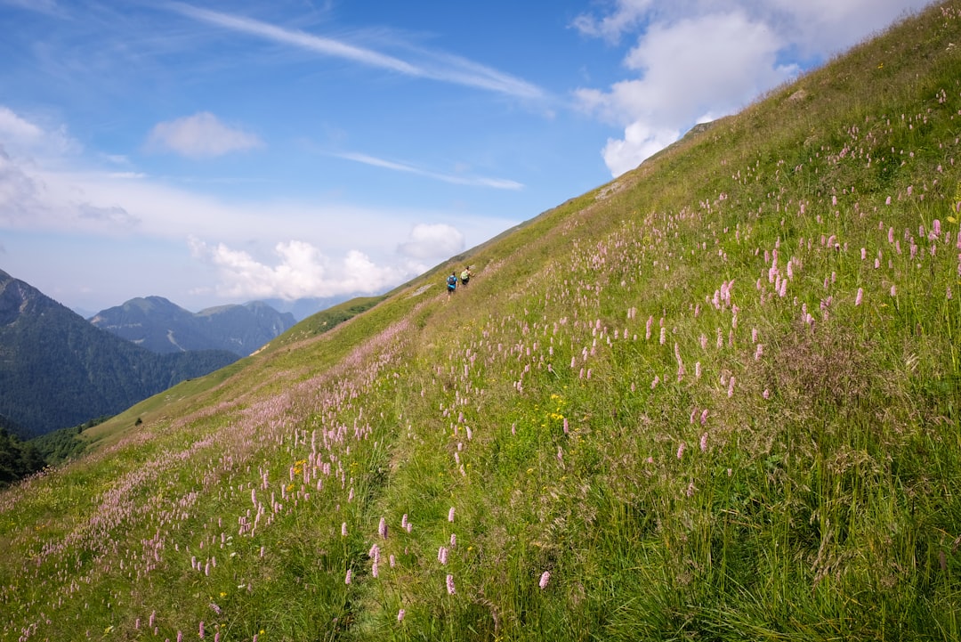 Hill photo spot Valbondione Val d'Adige