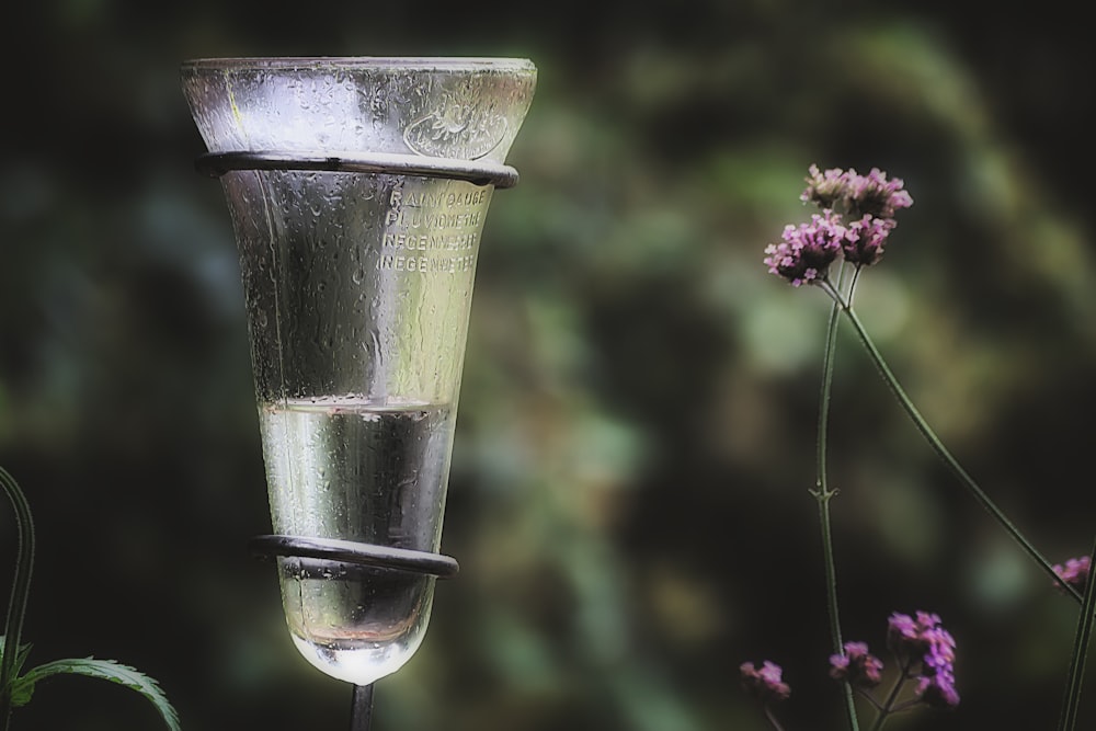 vaso transparente junto a la fotografía selectiva de flores rosas