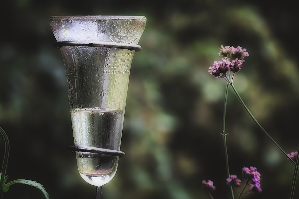 clear drinking glass next to pink flower selective photography