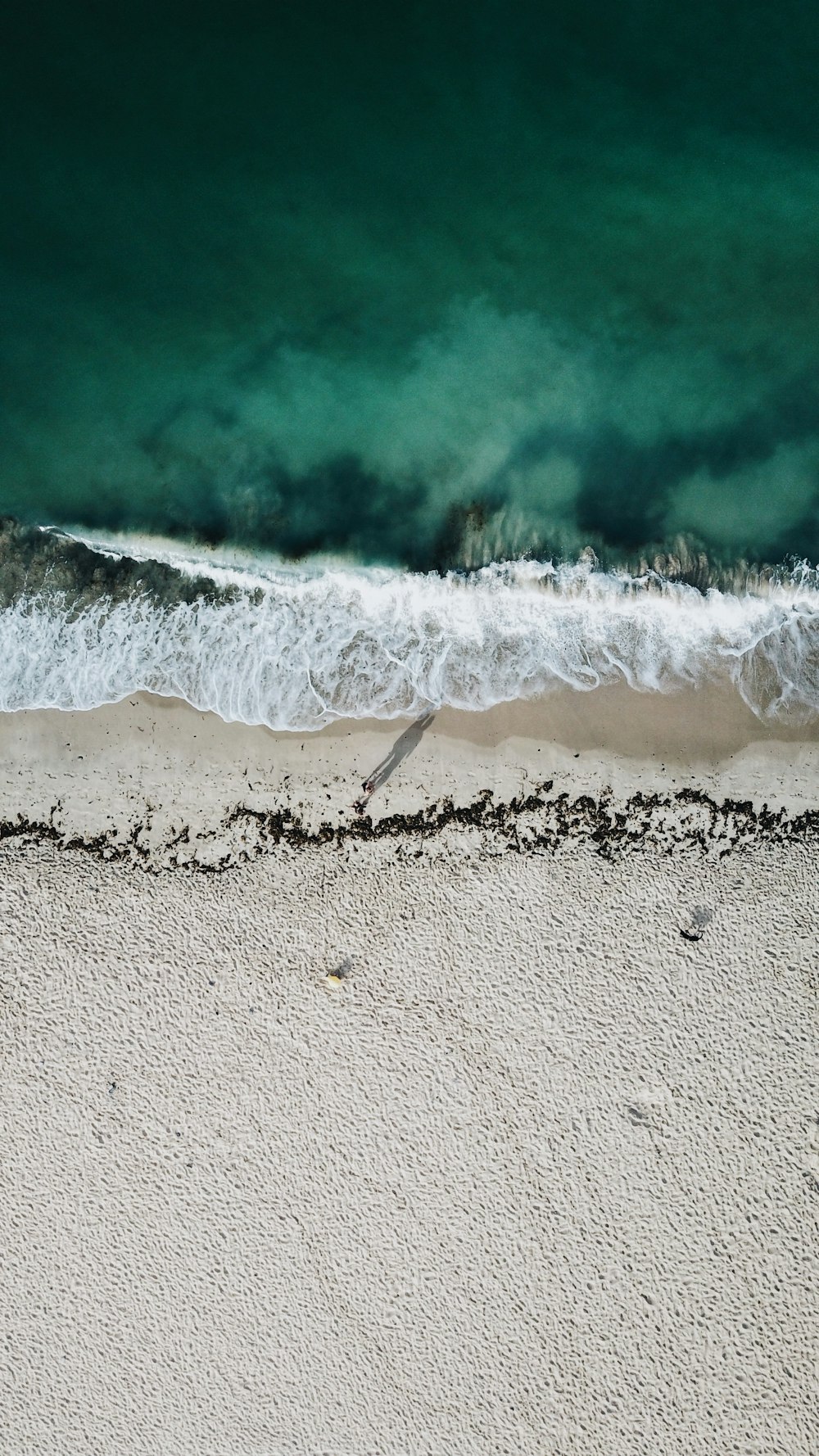 aerial photography of beach shore