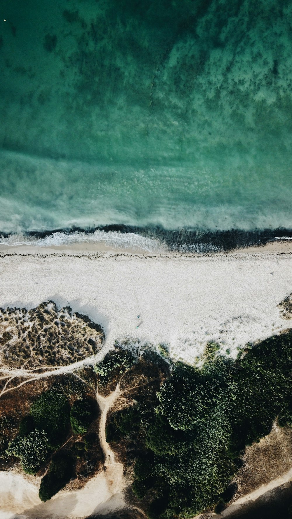 aerial photography of coastline