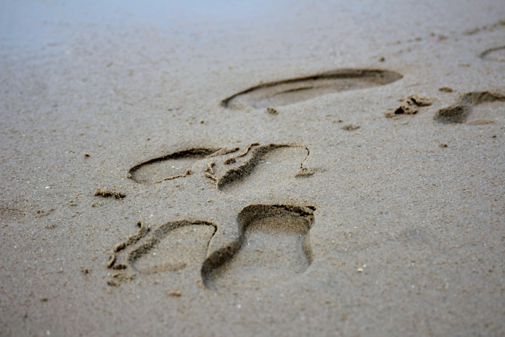 footprints on sand