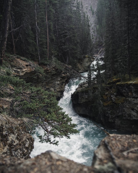 time lapse photography of river in Johnston Canyon Canada