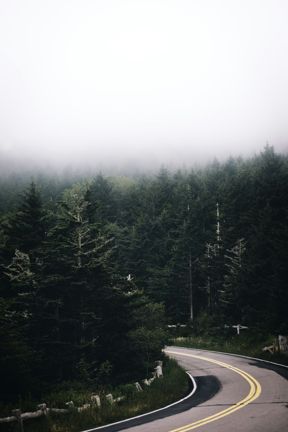 a winding road in the middle of a forest