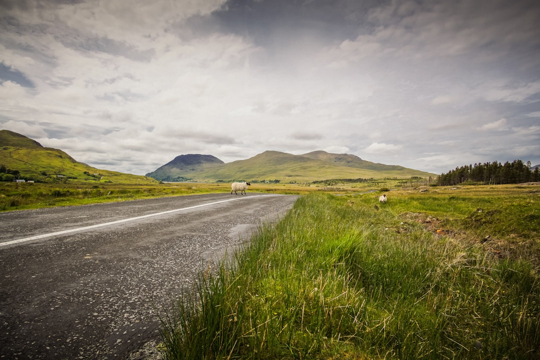 travelers stories about Highland in Connemara Loop, Ireland