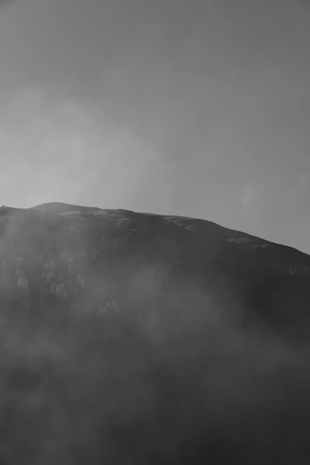 A misty mountain ridge with pine trees fading into the morning fog
