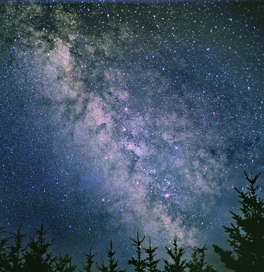 person taking photo of starry night sky