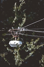 A tangle of power lines attached to a small utility box is set against a backdrop of lush green leaves. The metal structure and wires create an intricate pattern, while the foliage adds a natural contrast.