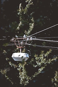 A tangle of power lines attached to a small utility box is set against a backdrop of lush green leaves. The metal structure and wires create an intricate pattern, while the foliage adds a natural contrast.