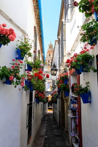 alley road between buildings