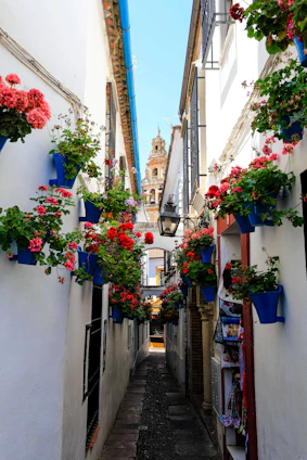 alley road between buildings