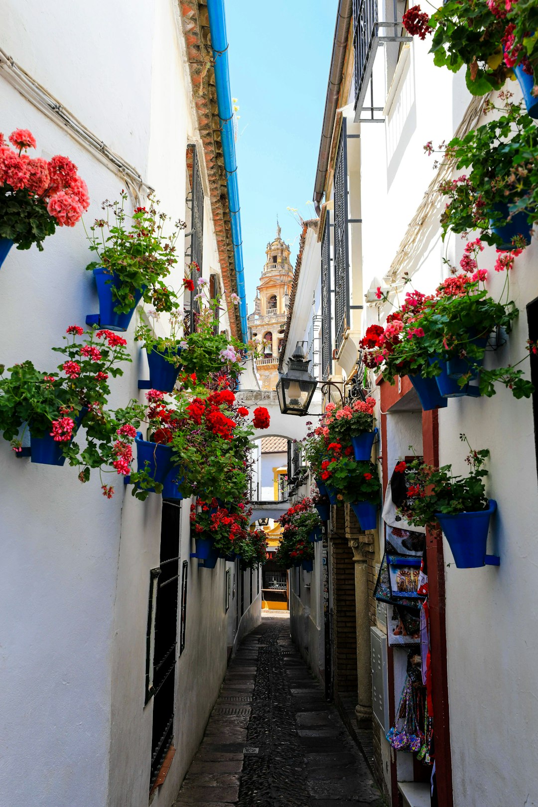 Town photo spot Calleja de las Flores Andalucía
