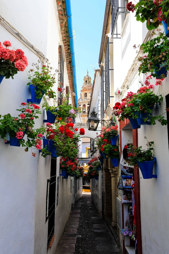 Mosque–Cathedral of Córdoba things to do in Andalusia