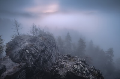 aerial view photo of mountain with trees covered with smoke misty teams background