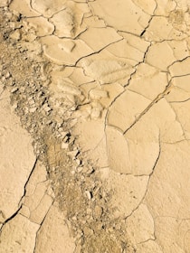 dried soil