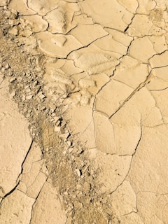 dried soil