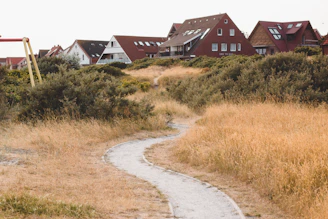 A winding path through Patagonian landscapes with traditional wooden houses in the background.