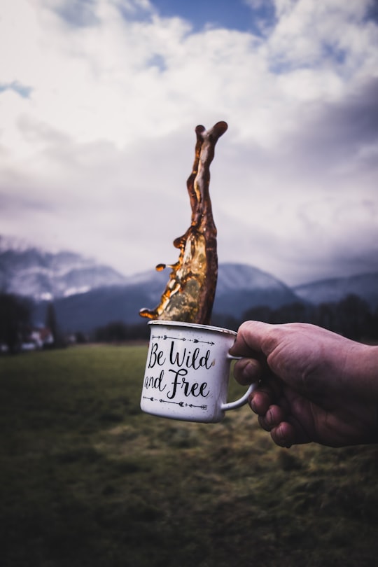 person holding white mug in Fontanil-Cornillon France