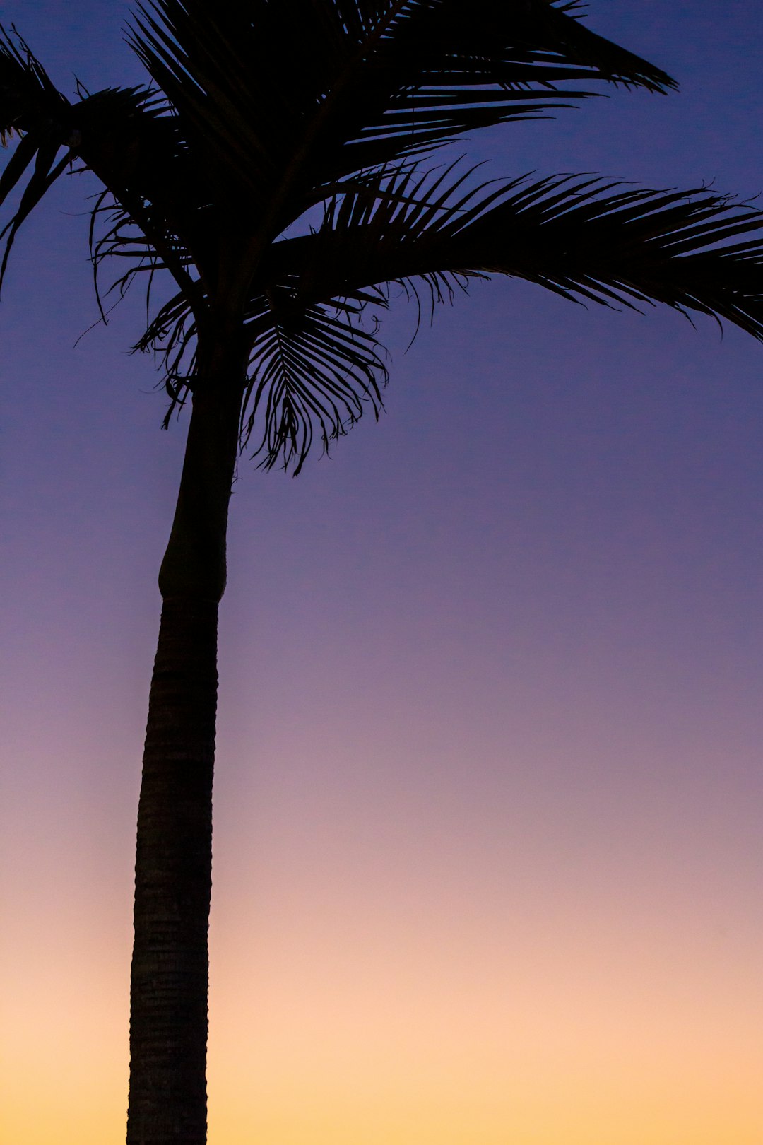 Tropics photo spot Hope Island Burleigh Heads