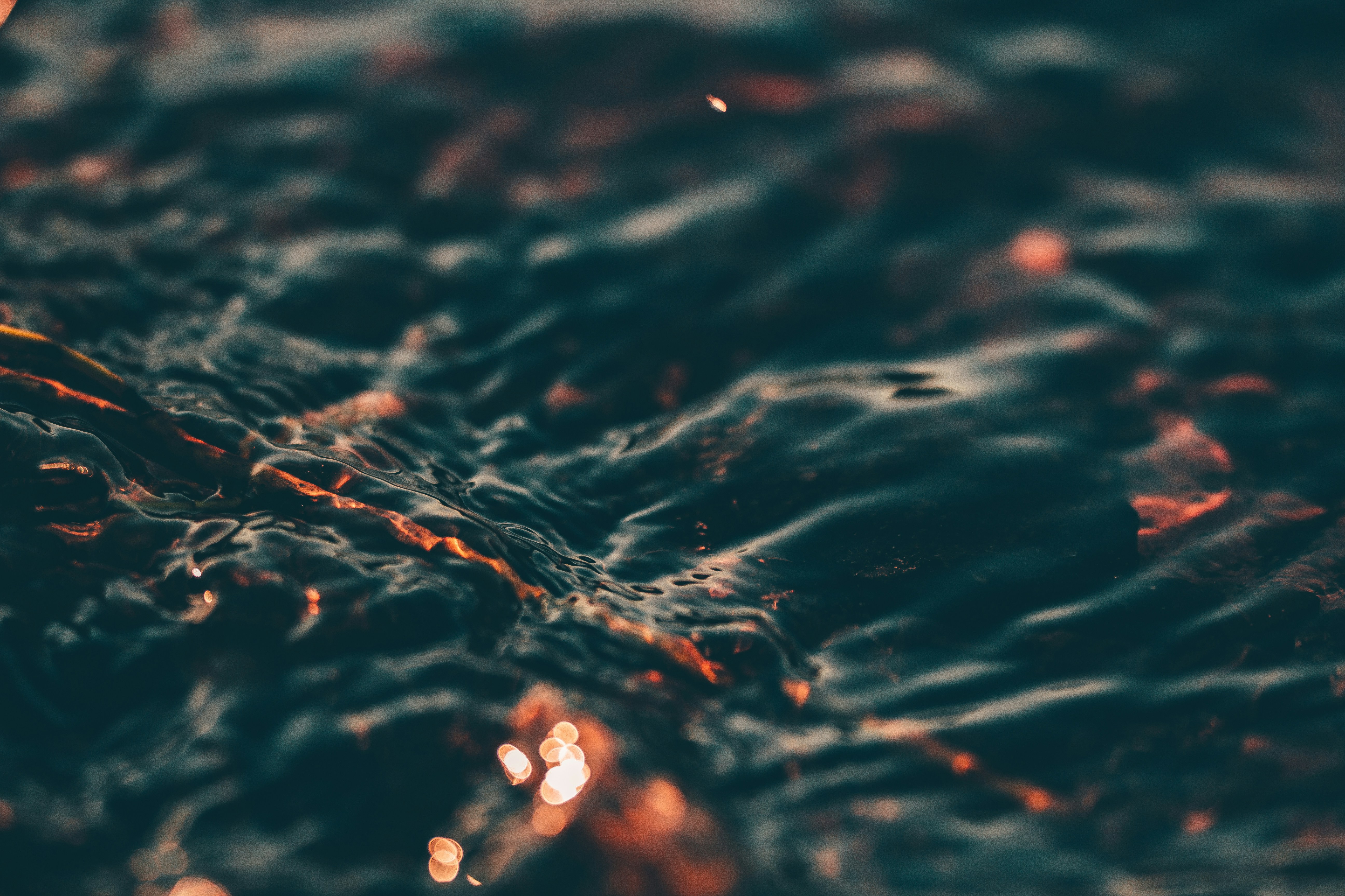 Animecoin header image