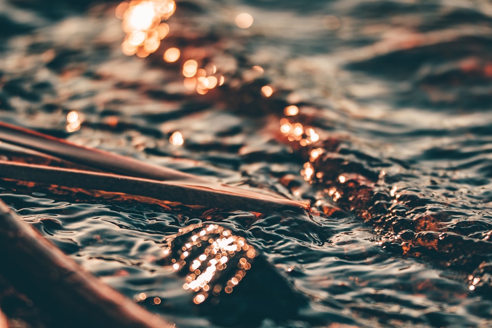 un primo piano di un po 'd'acqua con un mucchio di bastoncini che sporgono da esso