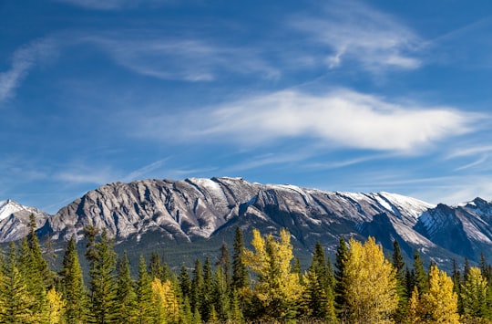 mountains and trees in British Columbia Canada
