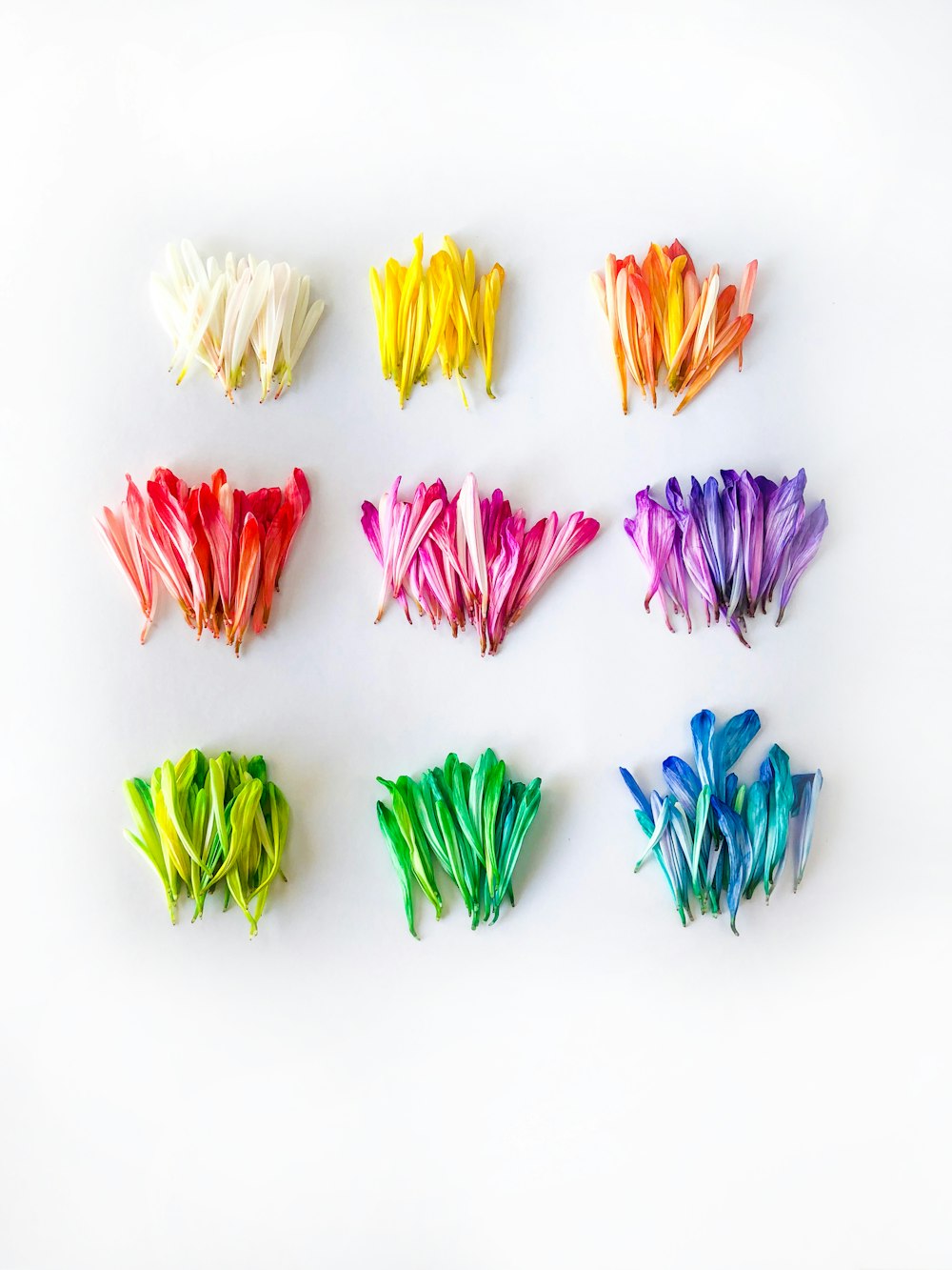 assorted flowers on white surface