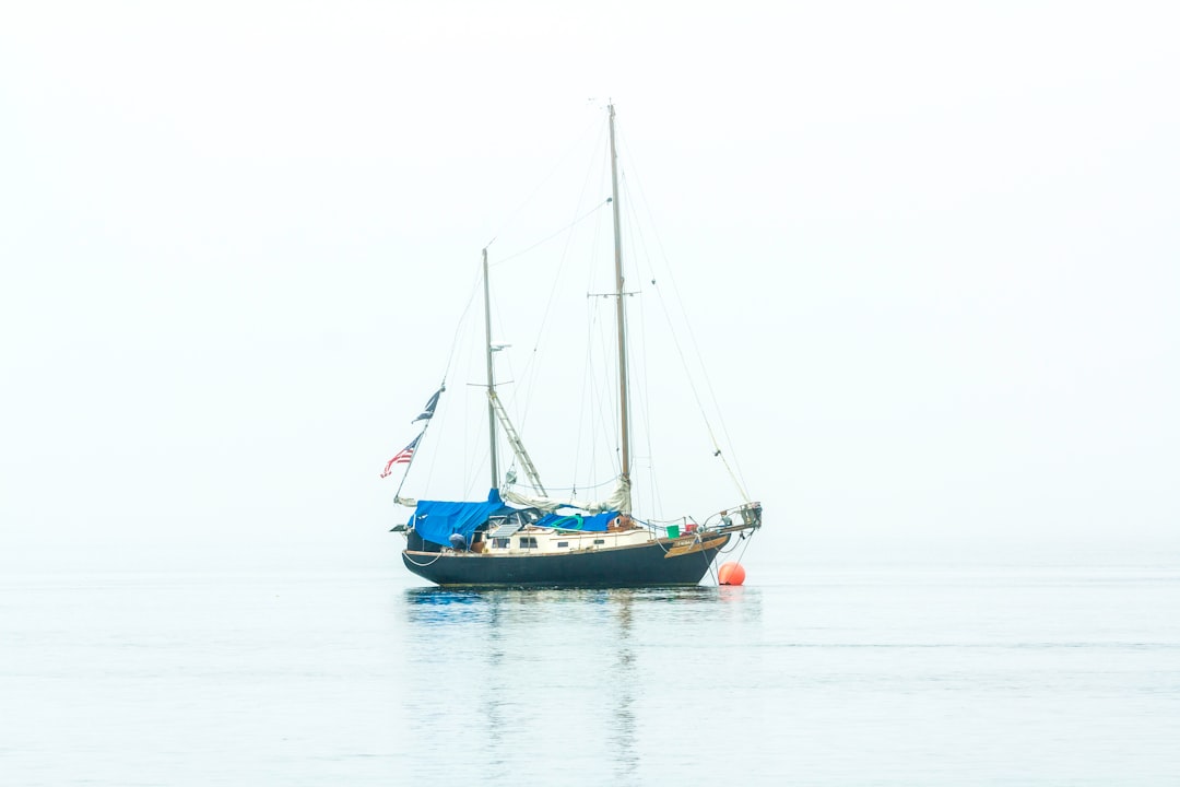 white and blue boat on body of water