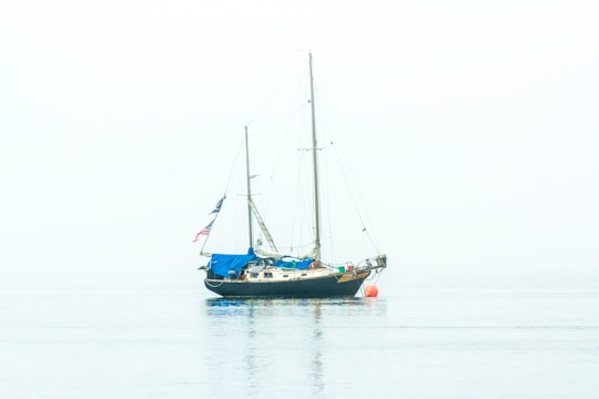 white and blue boat on body of water in Morro Bay United States