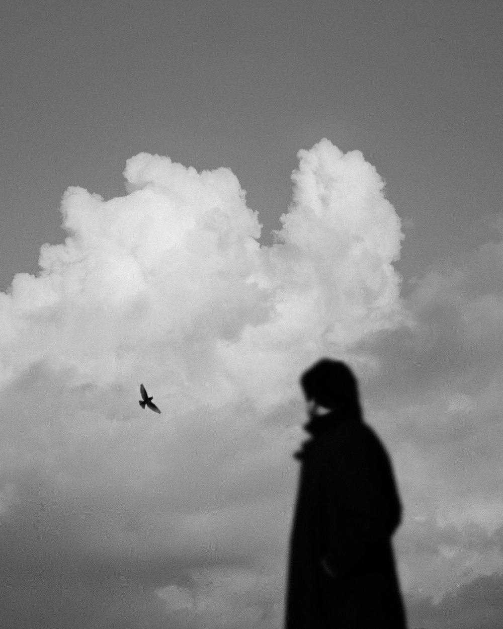 grayscale photography of silhouette of a person and a bird