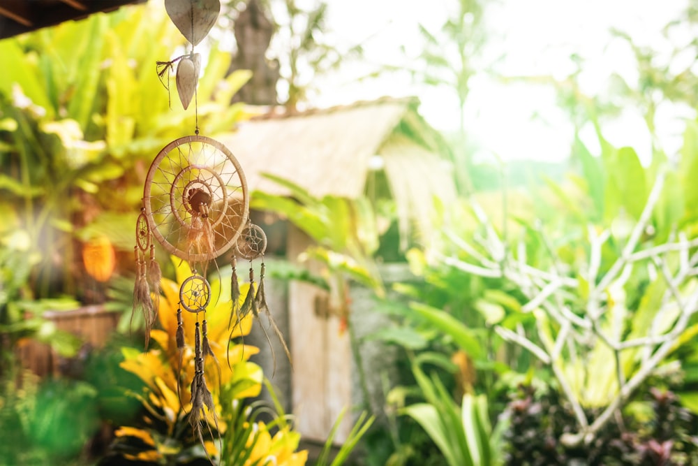 dream catcher hanging on rack