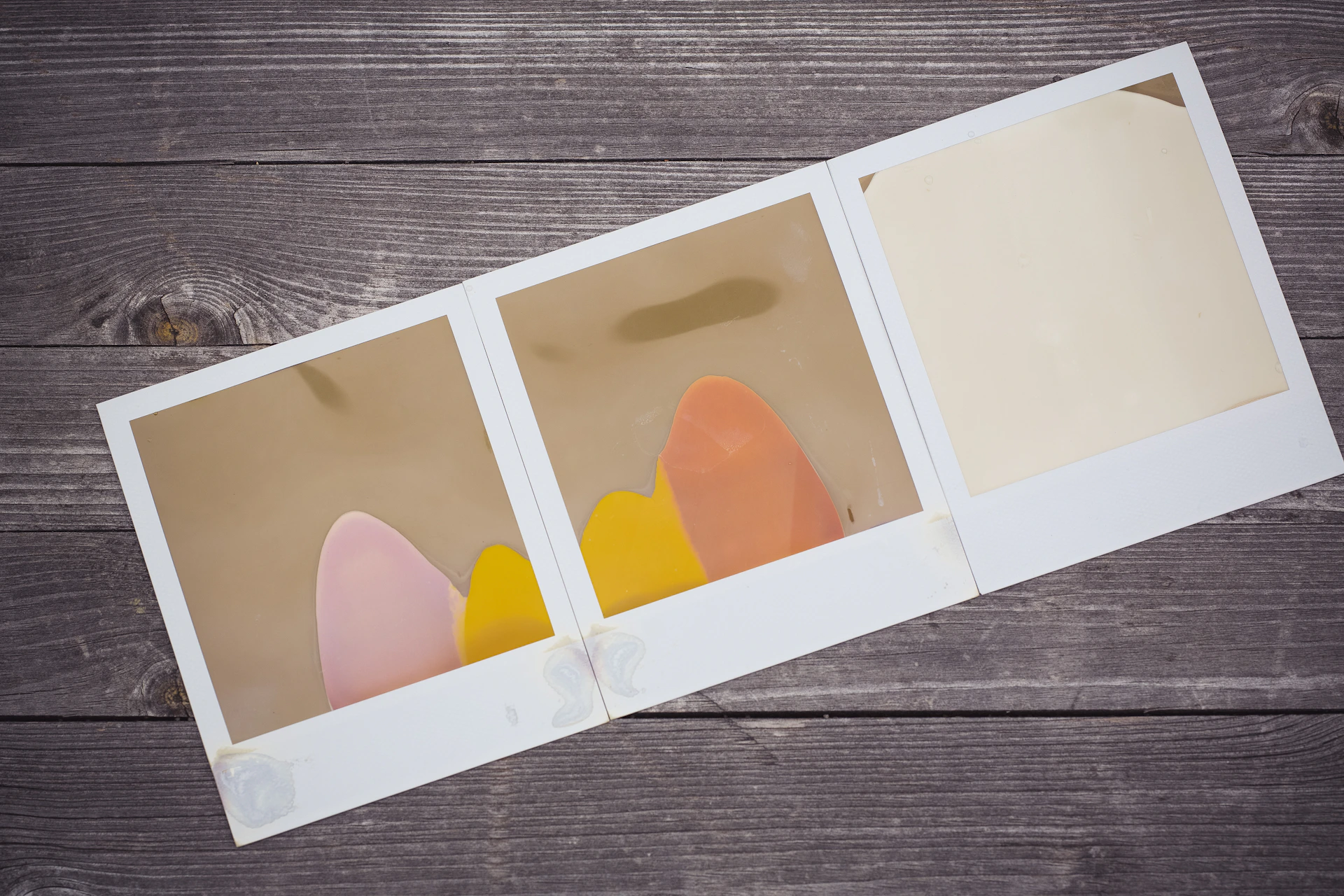 An engaging picture representing the third photo in a smooth, scrollable collection.