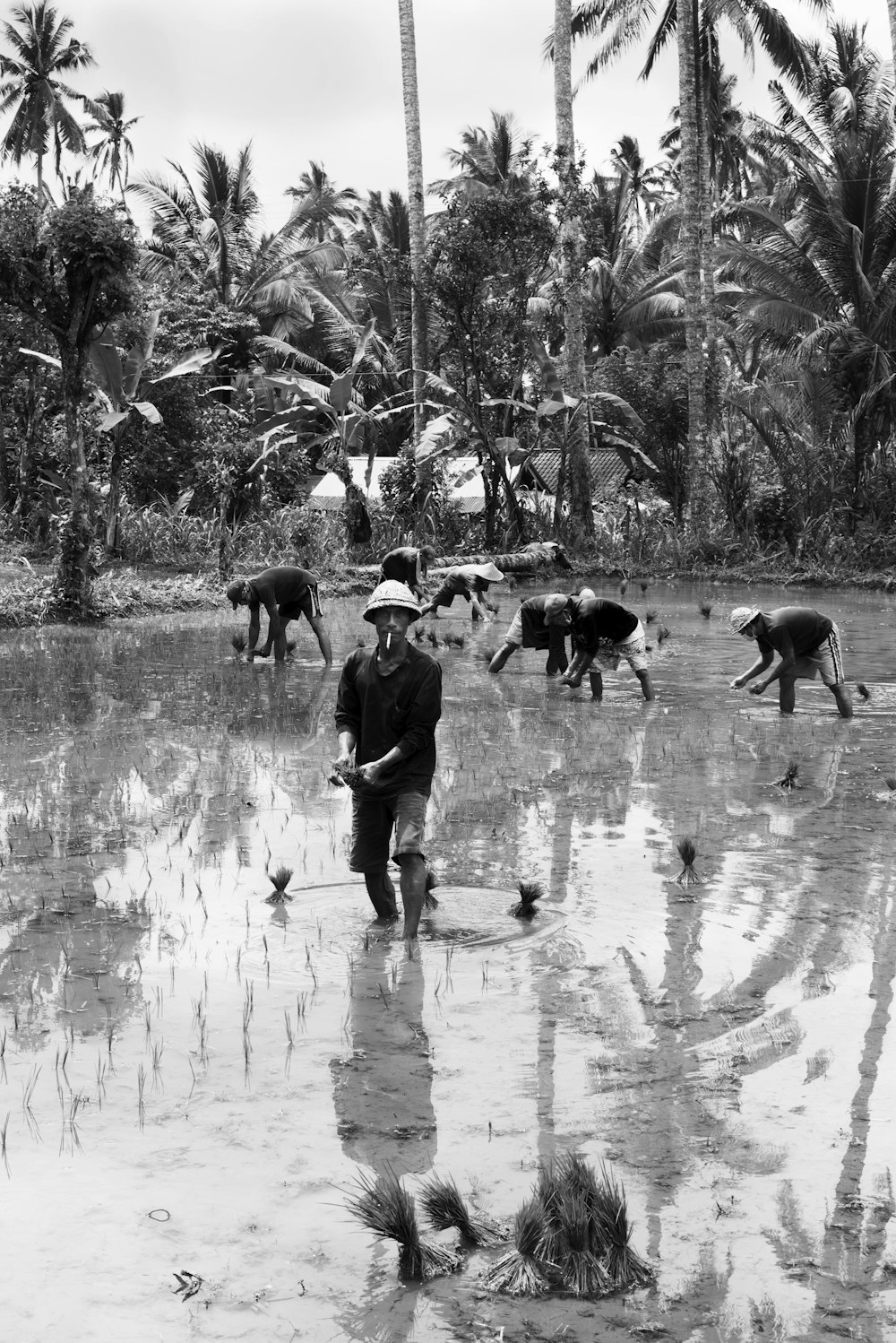 people farming in grayscale photography