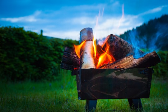 brown firewood with fire in Xonrupt-Longemer France